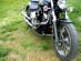 Yamaha Dragstar & Vstar XVS 1100 A Classic Engine Guard with Pegs